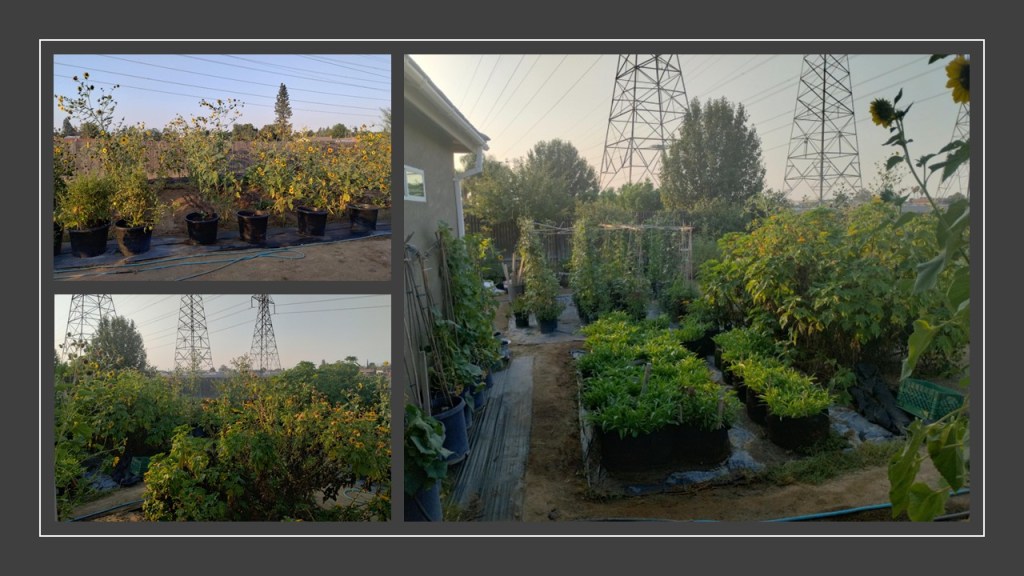 Just a sample of being motivated to allow nature to guide and reward my efforts. 